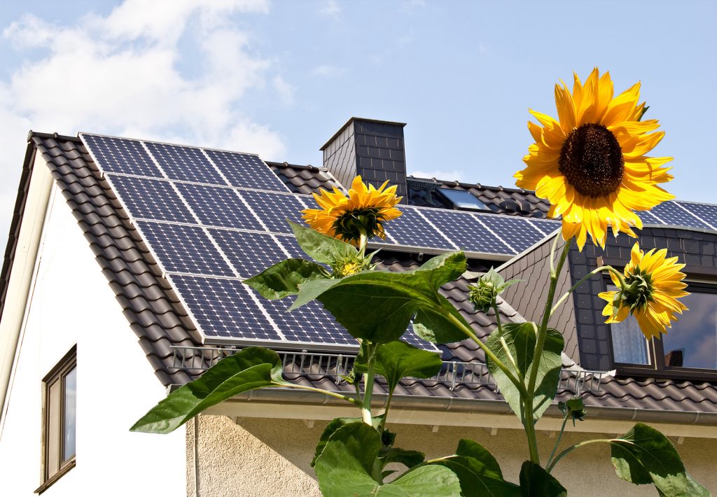 Energía solar en el hogar: sostenibilidad y naturaleza en armonía. Casa con paneles solares en el techo y girasoles al frente bajo el sol, símbolo de energía renovable.