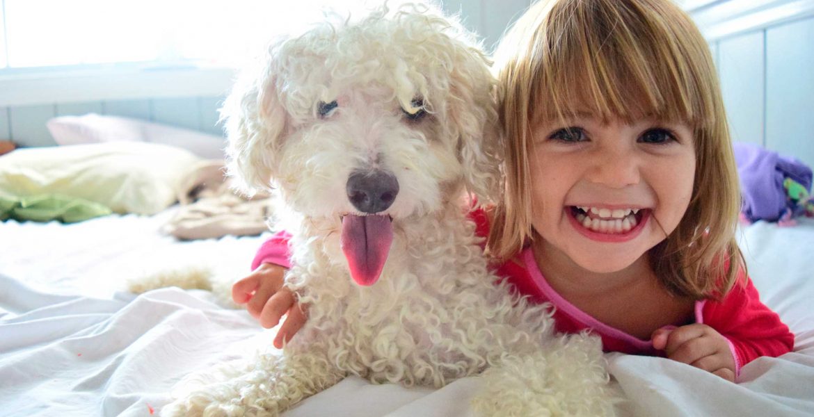 mascotas para niños