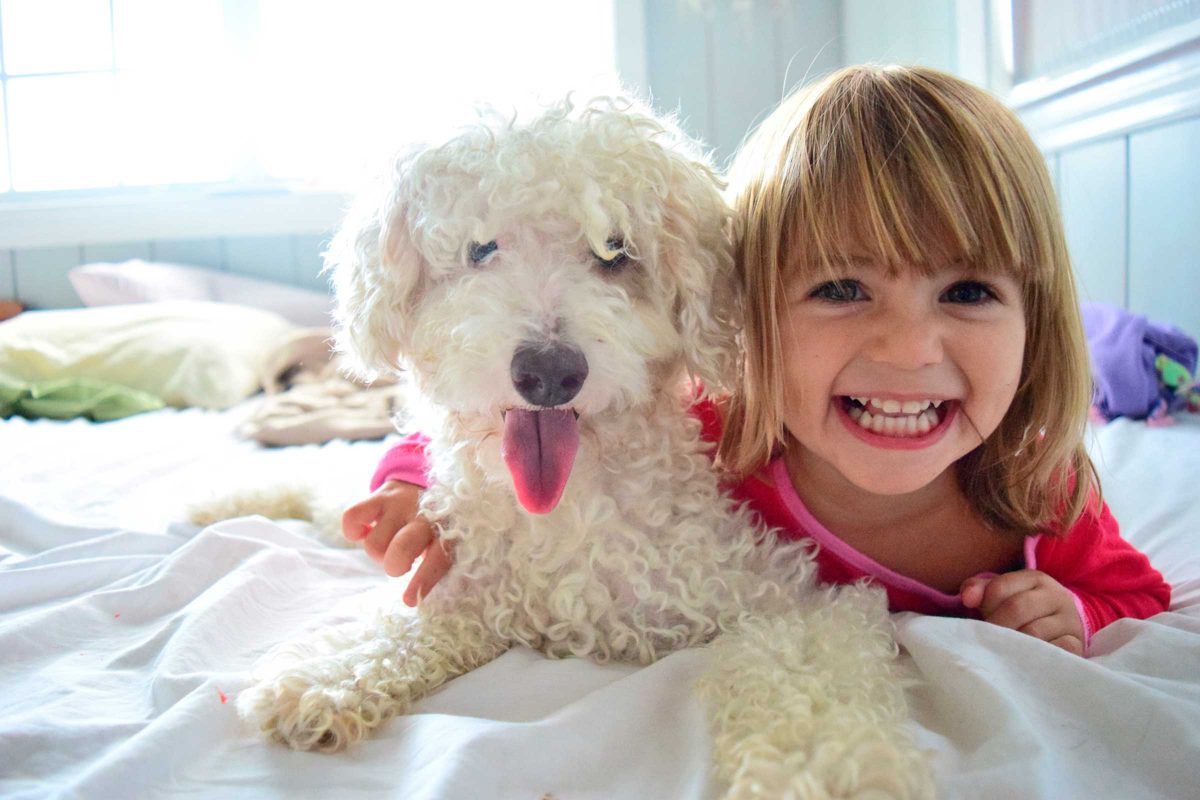 mascotas para niños