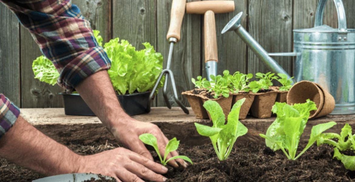 Huerta en casa con plantas verdes en un cajón de cultivo y texto que indica cómo y por qué crear una huerta en casa.