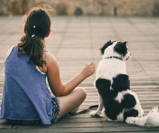 Consejos para atravesar la pérdida de una mascota 12