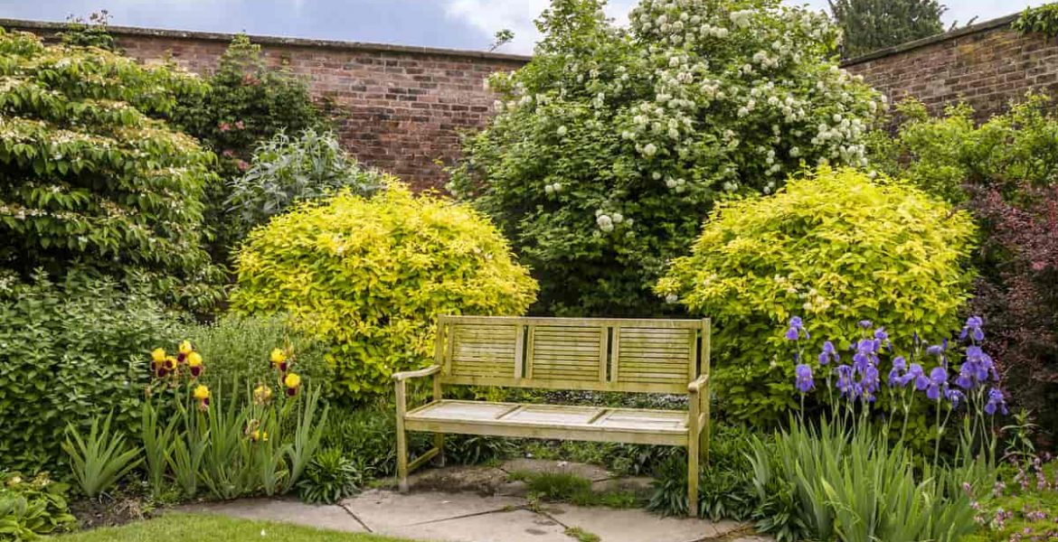 Variedad de arbustos verdes en jardín moderno