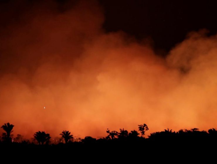 El Amazonas en peligro: cómo podemos ayudar desde donde estemos 22 El Amazonas en peligro: cómo podemos ayudar desde donde estemos 8