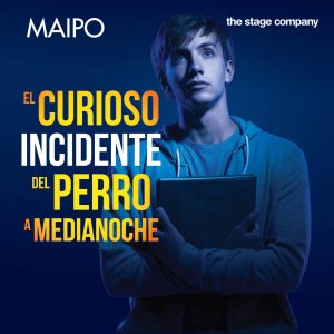El curioso incidente del perro a medianoche: mucho más que una obra de teatro 9