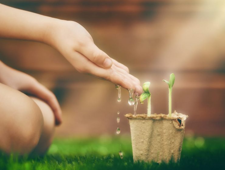 El equinoccio de primavera 2022