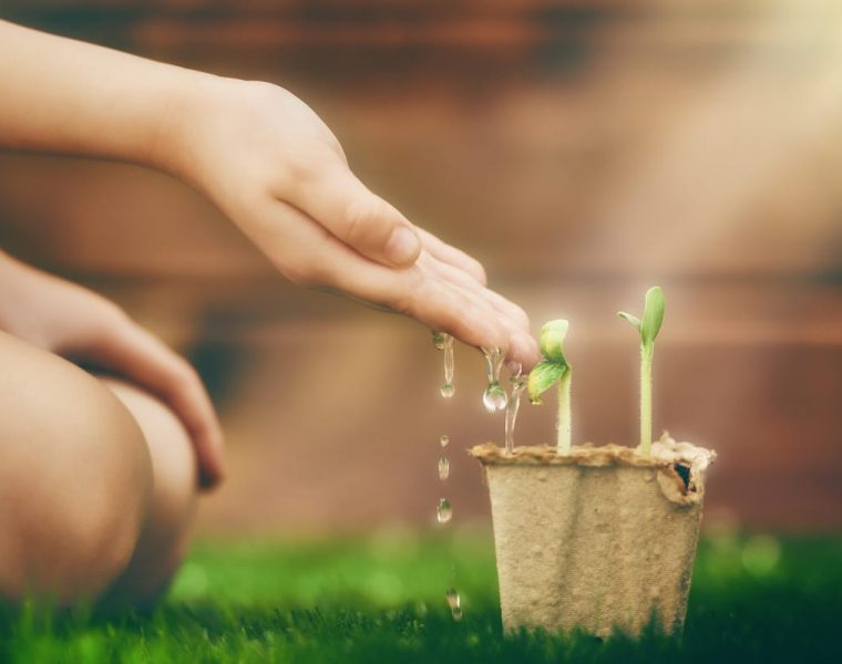 El equinoccio de primavera 2022