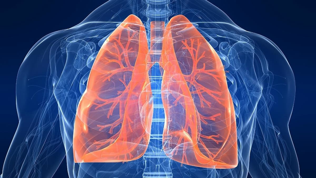 salud de los pulmones