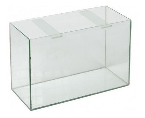 como se alimentan los peces