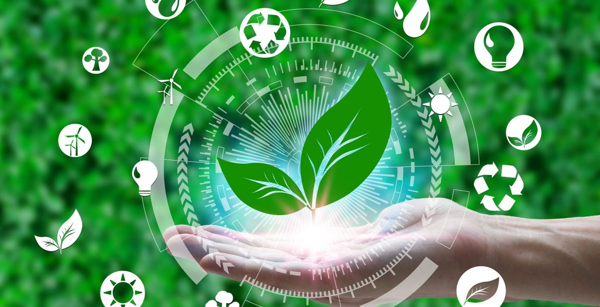 cuidar el planeta reciclar