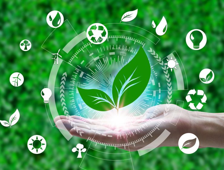 Mi patria es el planeta 7 cuidar el planeta reciclar