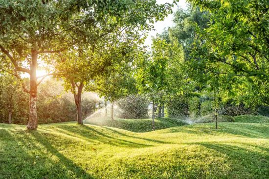 tipos de riego para jardines