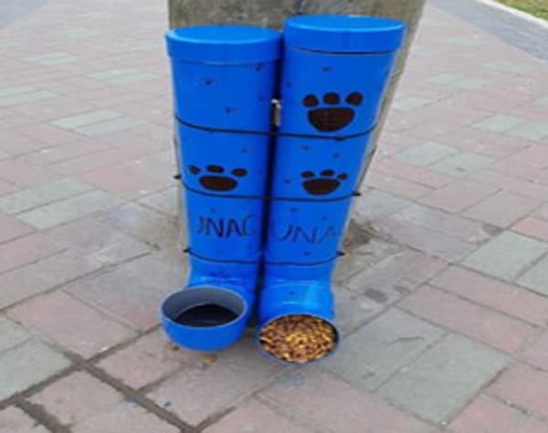 Agua y comida para los perros callejeros: sumate a esta acción 15 comedero y bebedero perros
