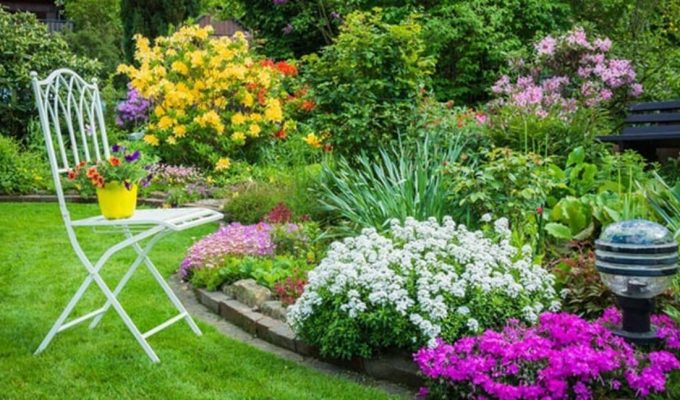 plantas de jardin