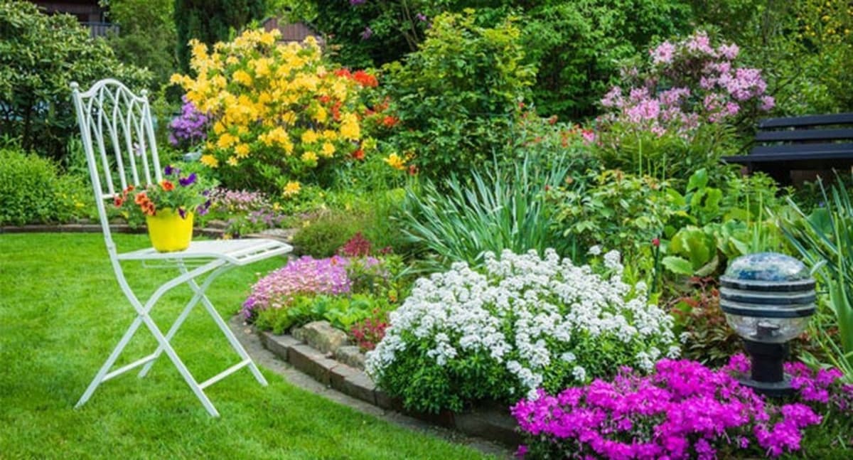 plantas de jardin