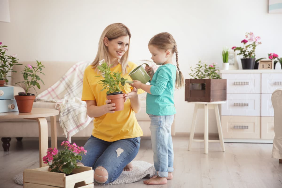 plantas de jardin resistentes