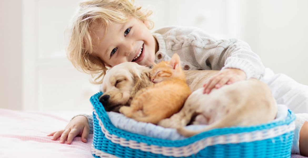 cosas que debes saber al adoptar una mascota