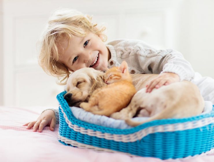 cosas que debes saber al adoptar una mascota