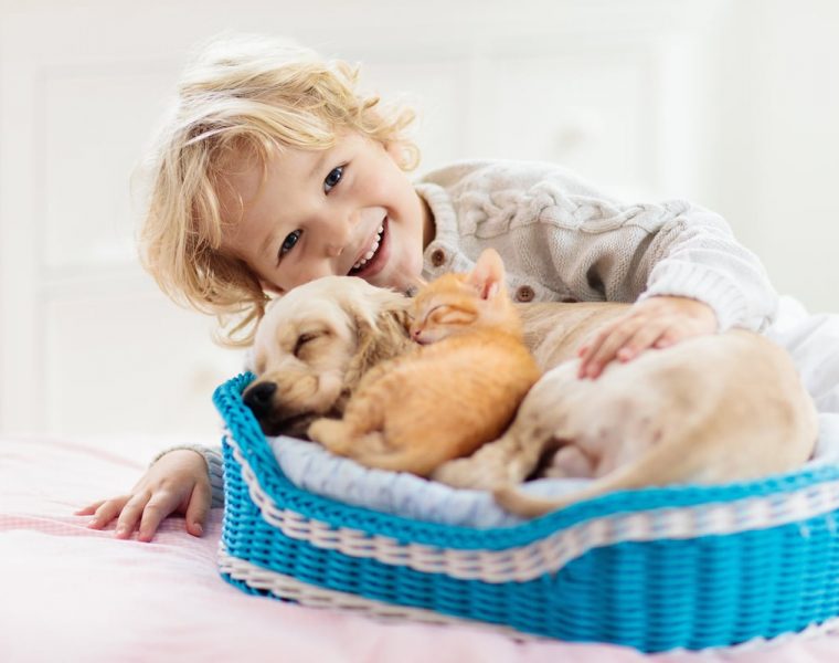 cosas que debes saber al adoptar una mascota