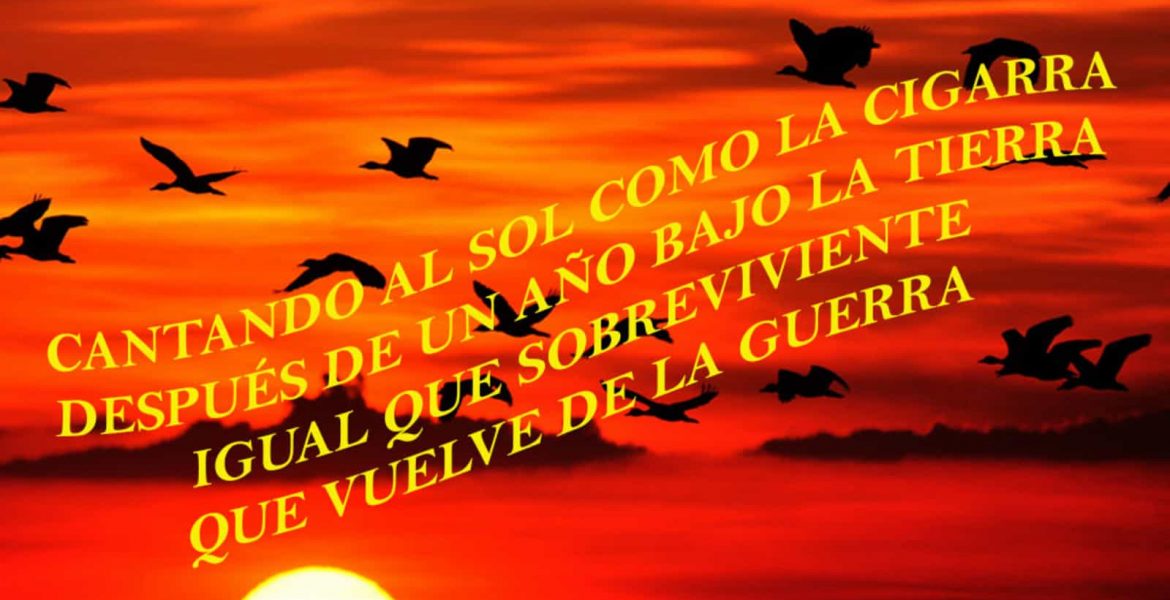 argentina canta en cuarentena