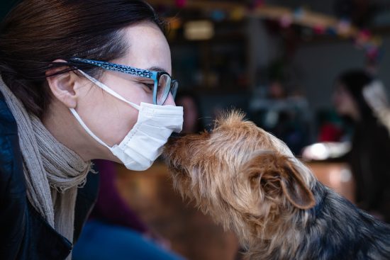 Mascotas y coronavirus: consulta virtual al veterinario sin cargo 4 coronavirus y mascotas