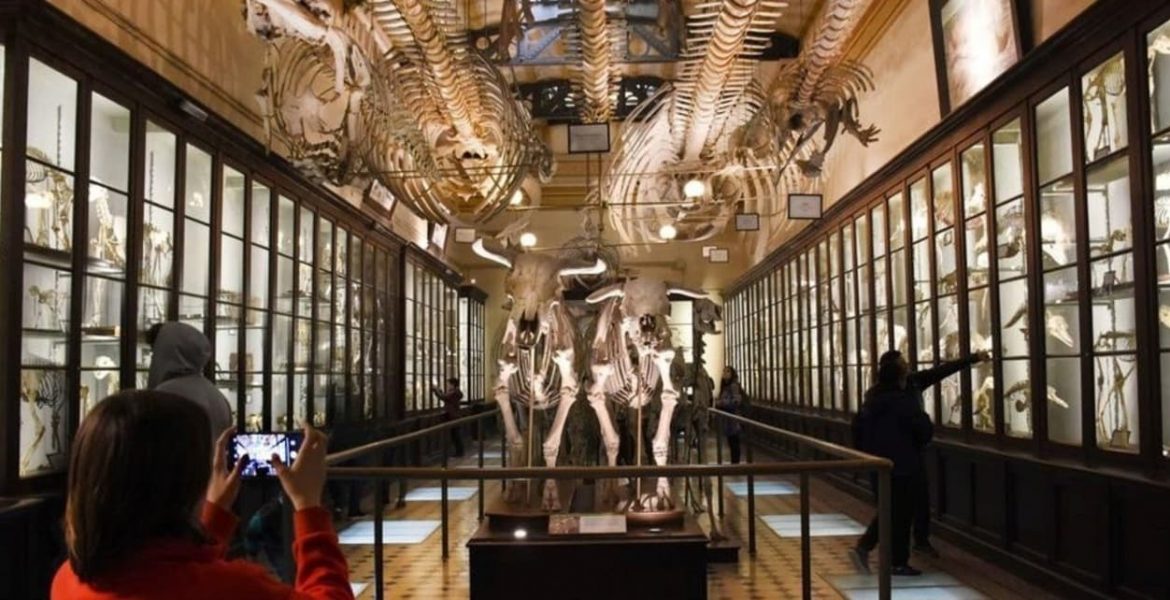 museos