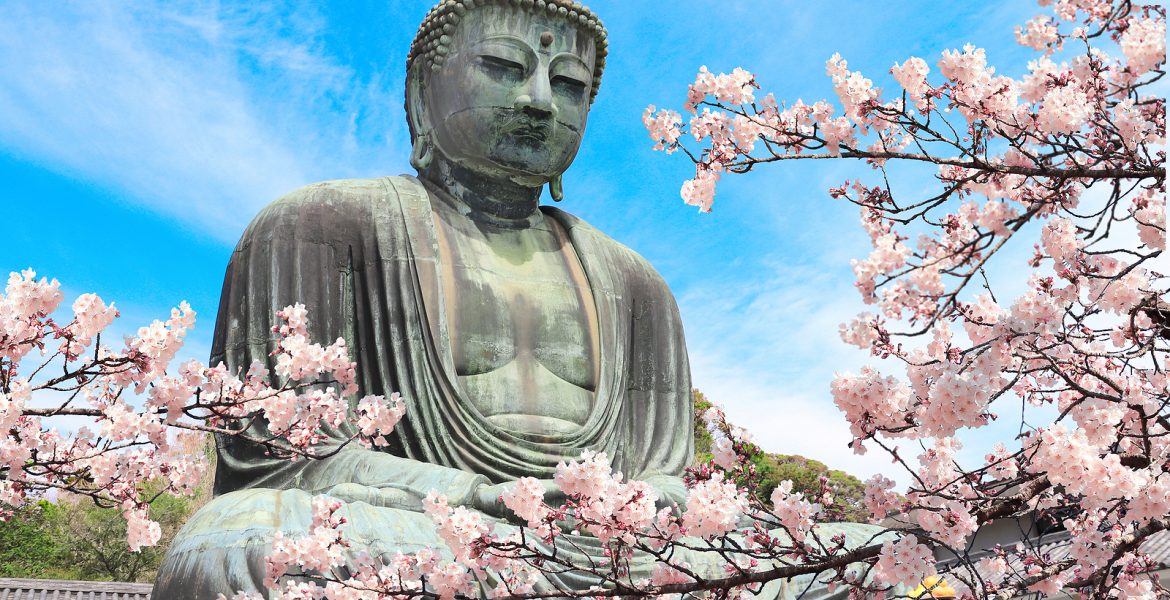 Estatua de Buda en meditación al aire libre, enmarcada por ramas de cerezo en flor bajo un cielo azul.