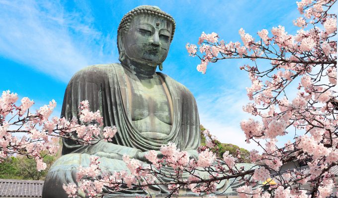 Estatua de Buda en meditación al aire libre, enmarcada por ramas de cerezo en flor bajo un cielo azul.