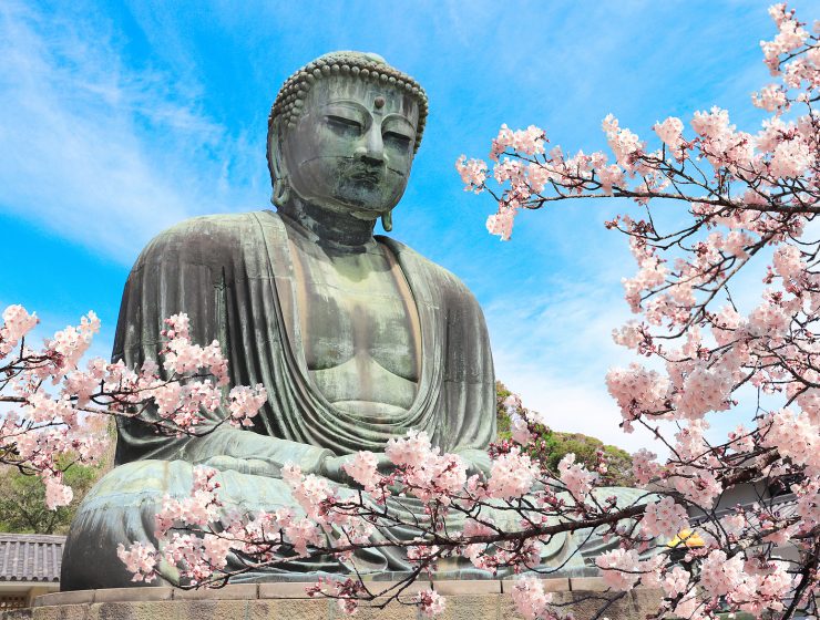 Estatua de Buda en meditación al aire libre, enmarcada por ramas de cerezo en flor bajo un cielo azul.