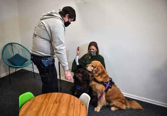 Perros de Terapia para Asistencia Judicial