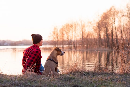 Dónde dejar a tu mascota cuando te vas de viaje 11 Dónde dejar a tu mascota cuando te vas de viaje