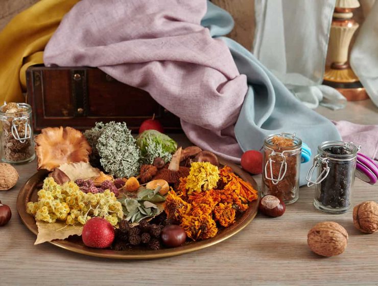 teñidos naturales en telas