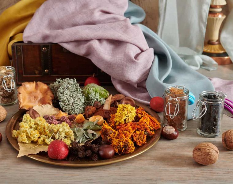 teñidos naturales en telas