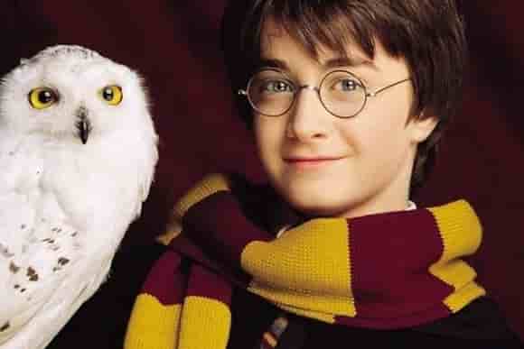 Harry Potter cumplió 40 años: algunas cosas que no sabías del mago 9 Harry Potter cumplió 40 años: algunas cosas que no sabías del mago 8