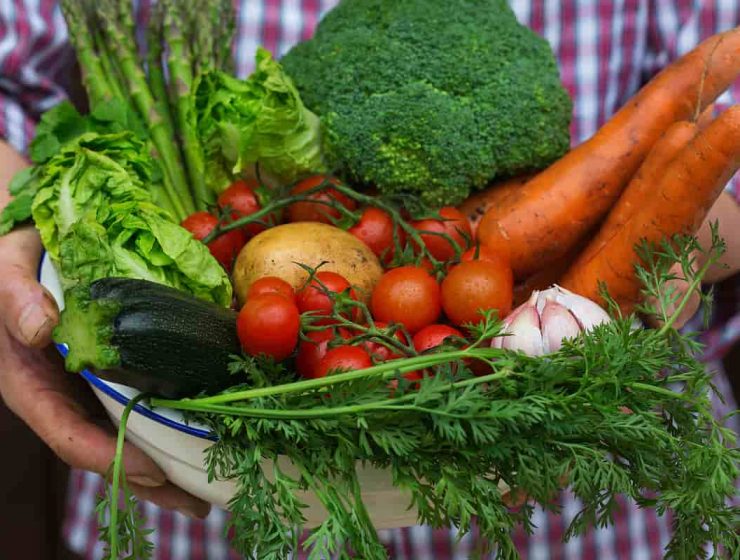Persona sosteniendo un bowl lleno de verduras frescas como zanahorias, tomates cherry, lechuga, brócoli, calabacín, papa y ajo recién cosechados.