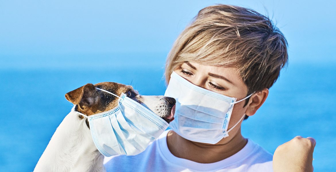 mascotas coronavirus