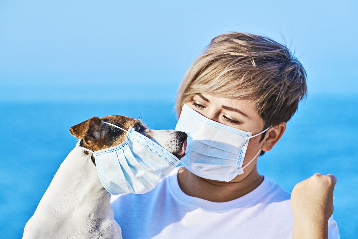 mascotas coronavirus