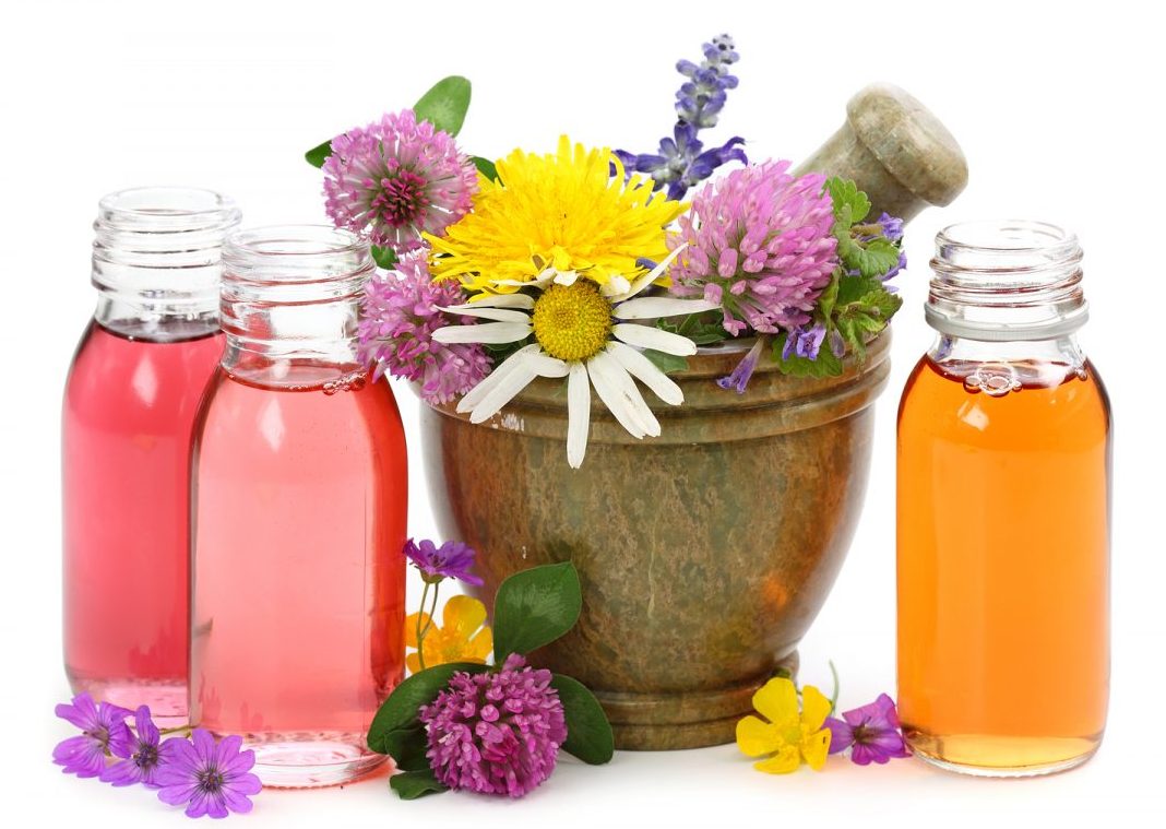 propiedades del arnica