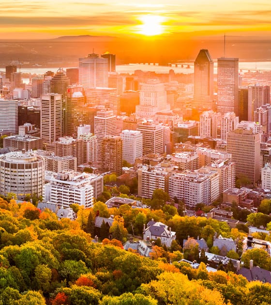 Trabajar en el exterior: 20 empresas buscan en Latinoamérica más de 200 puestos 3