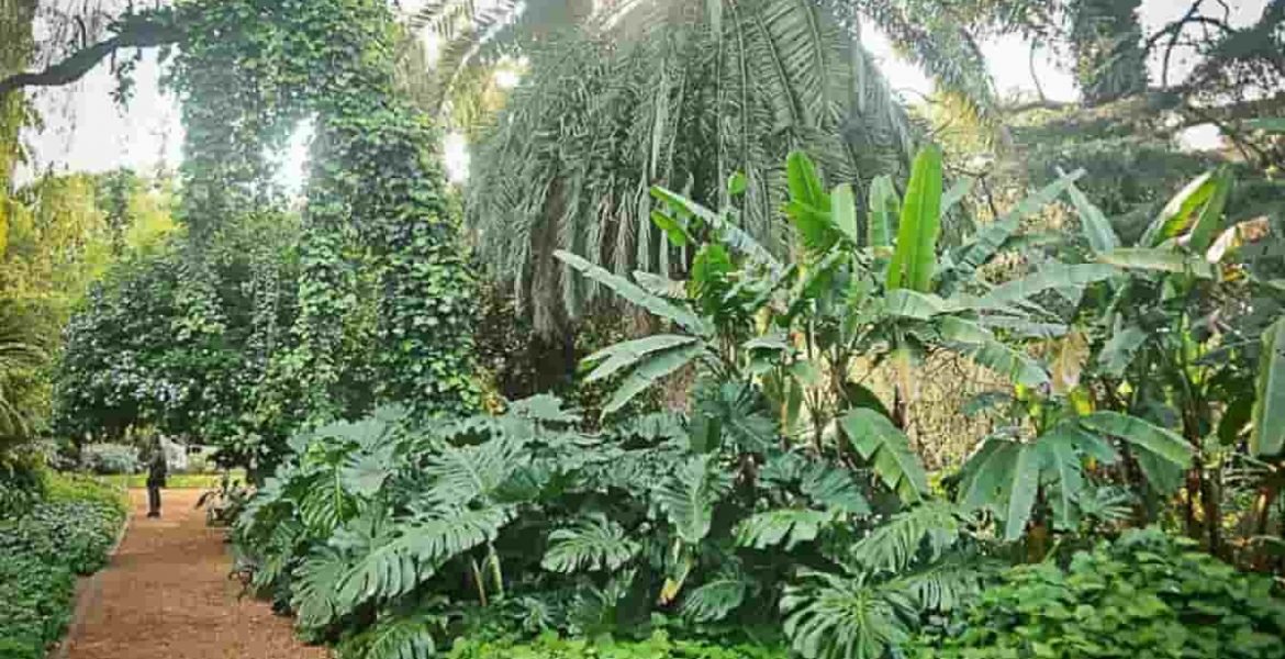reabren jardin botanico