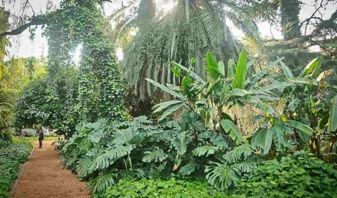 reabren jardin botanico