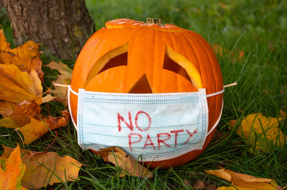 Halloween: los secretos de la noche más mágica del año 10 halloween