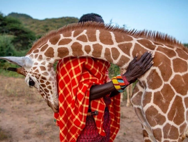 venta benefica fotos donadas medio ambiente