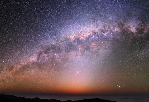 Venta de fotos donadas para apoyar causas a favor del medio ambiente 17 fotos donadas vida silvestre medio ambiente