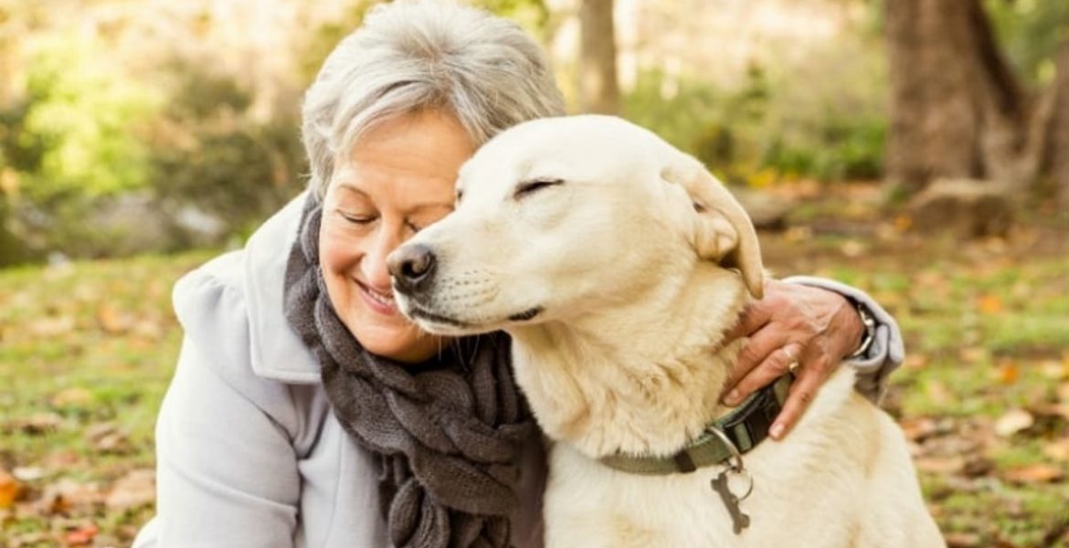 perros y humanos envejecen