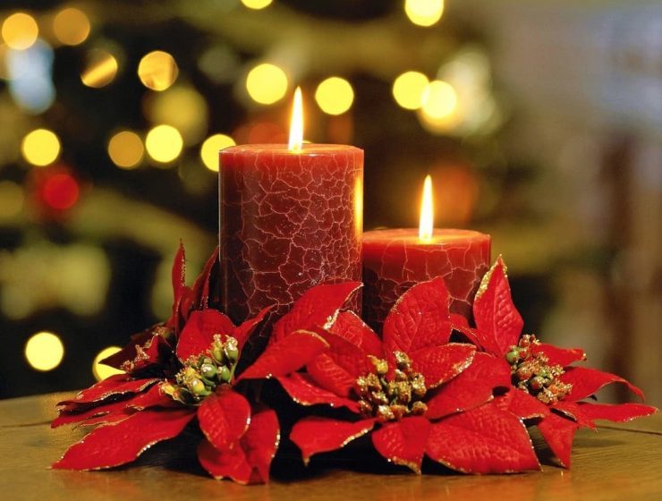 flor de nochebuena mexico