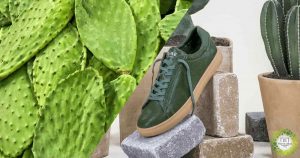 Qué significan las tres R: los pilares de una vida eco friendly 6