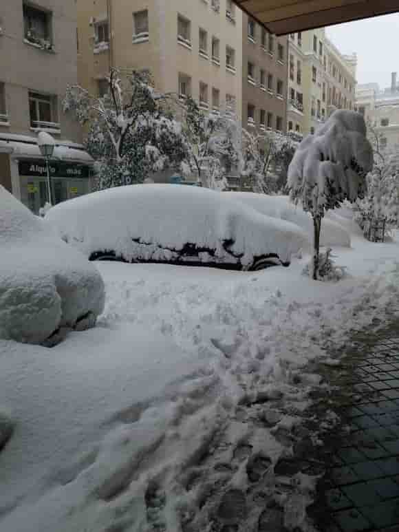 nevada en madrid