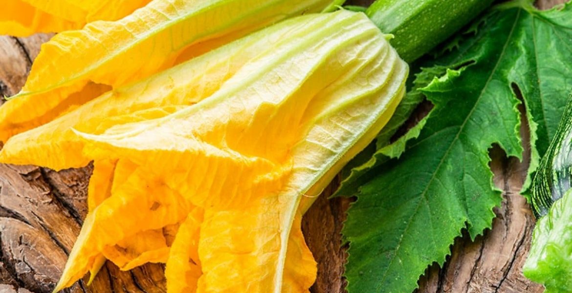 recetas con flor de calabaza