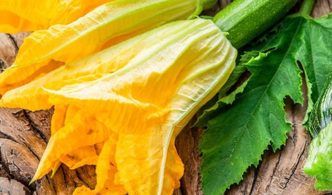 recetas con flor de calabaza