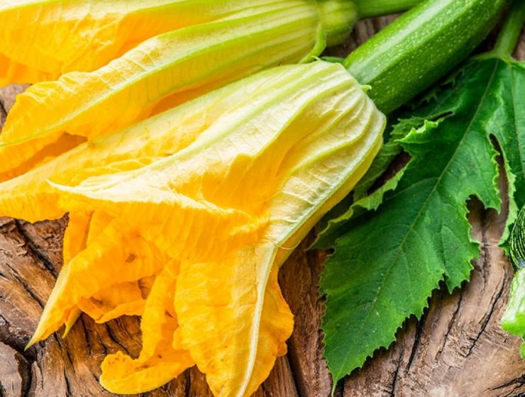 recetas con flor de calabaza